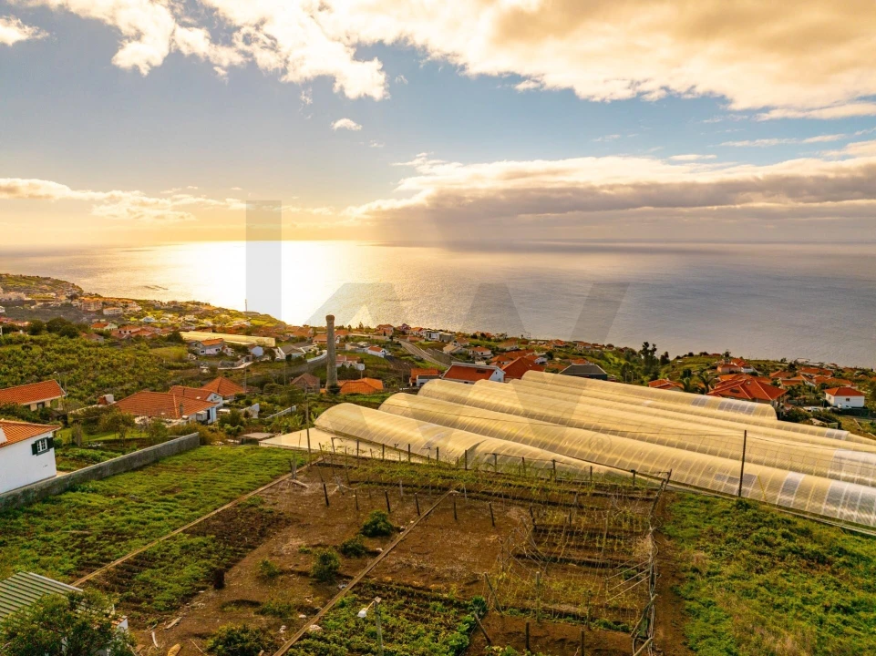 Moradia T2 para Venda em Estreito da Calheta Foto 73