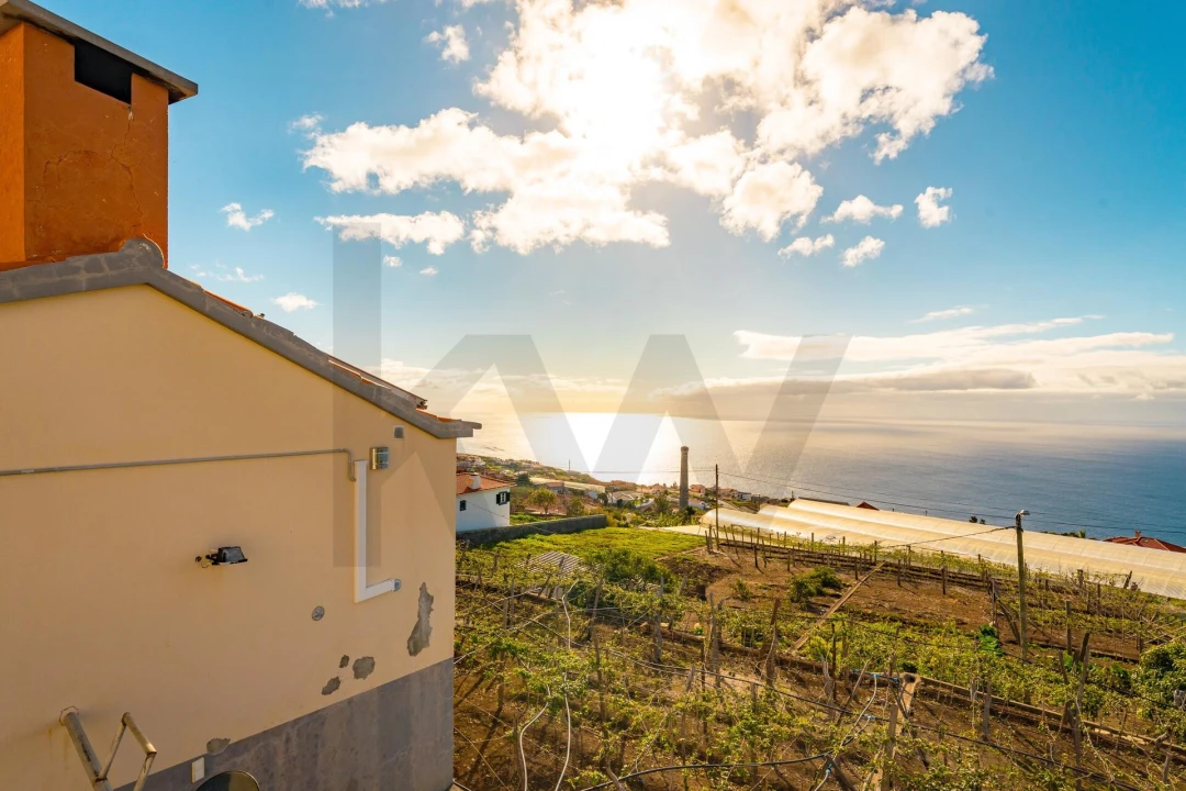 Moradia T2 para Venda em Estreito da Calheta Foto 52