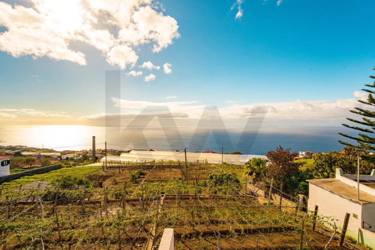 Moradia T2 para Venda em Estreito da Calheta Foto 51