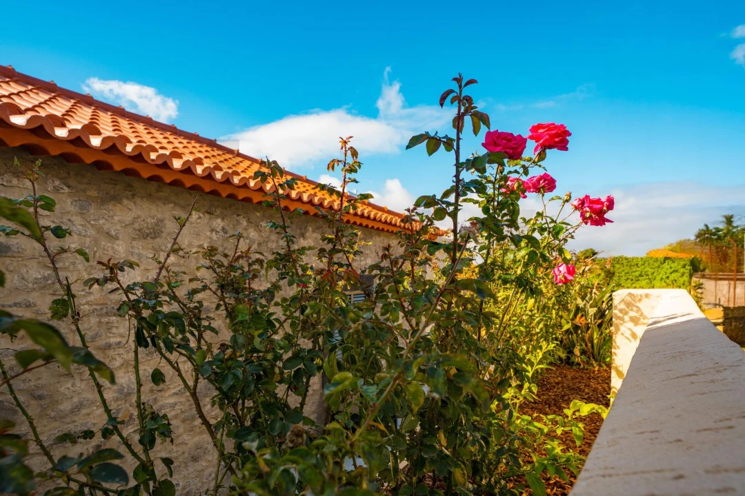 Moradia T2 para Venda em Estreito da Calheta Foto 66