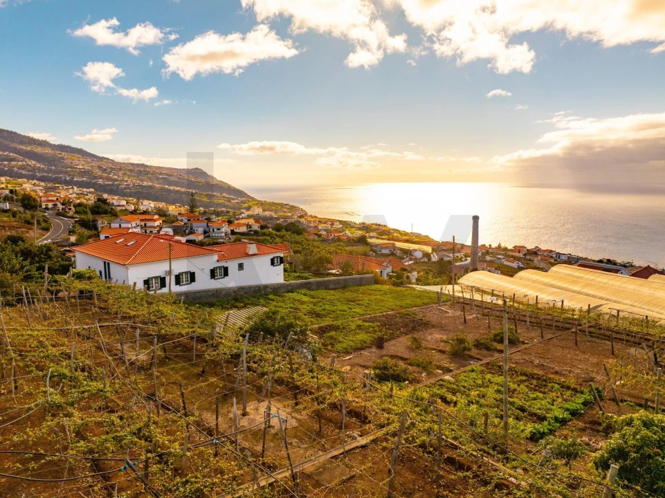 Moradia T2 para Venda em Estreito da Calheta Foto 74