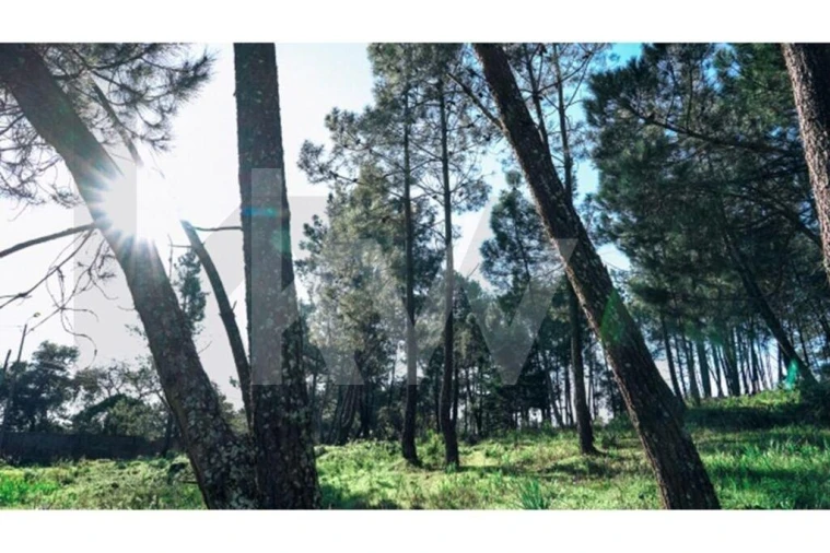 Terreno para Venda em Algueirão-Mem Martins Foto 13