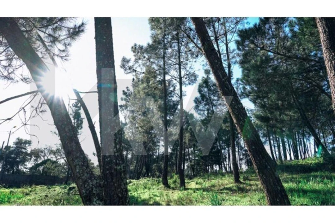 Terreno para Venda em Algueirão-Mem Martins Foto 13