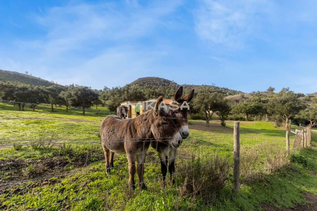 Moradia T4 para Venda em Aljezur Foto 10