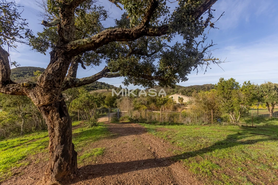 Moradia T4 para Venda em Aljezur Foto 9