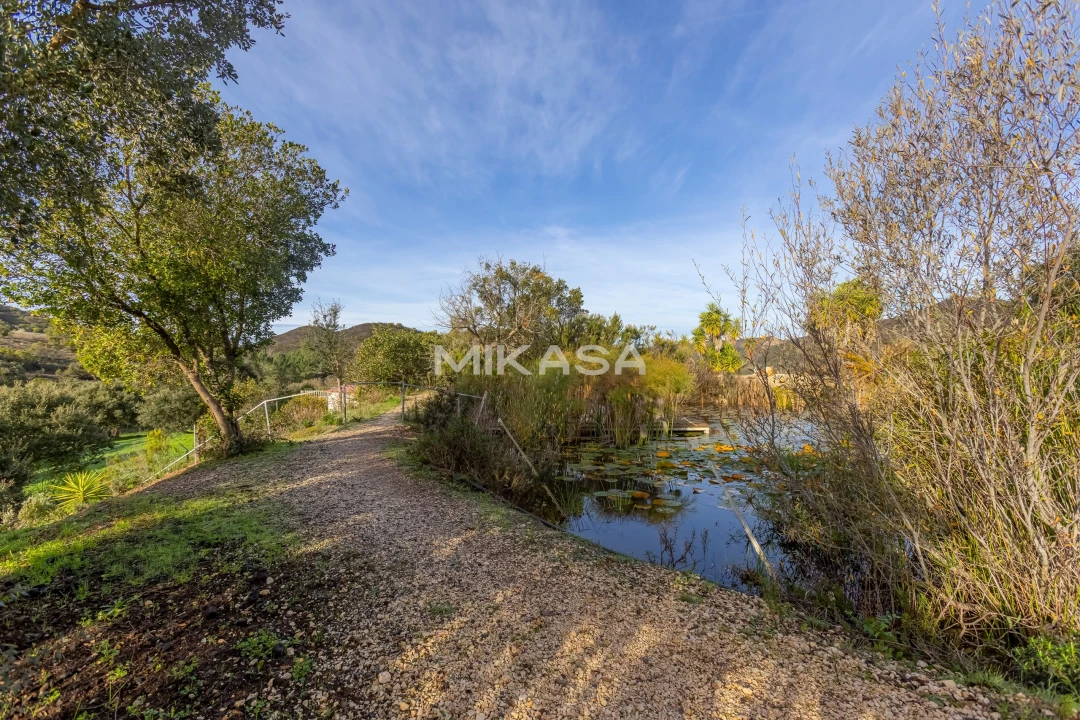 Moradia T4 para Venda em Aljezur Foto 8