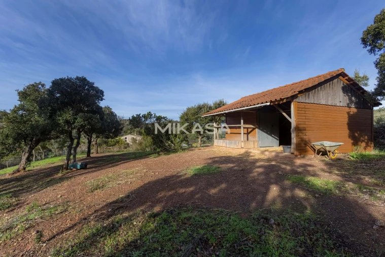 Moradia T4 para Venda em Aljezur Foto 11