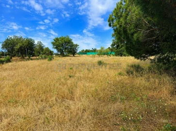 Terreno para Venda em Almancil