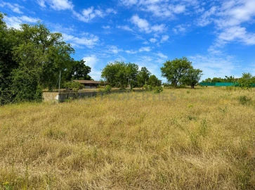 Terreno para Venda em Almancil
