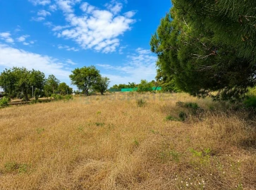 Terreno para Venda em Almancil