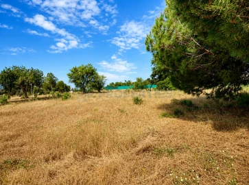 Terreno para Venda em Almancil