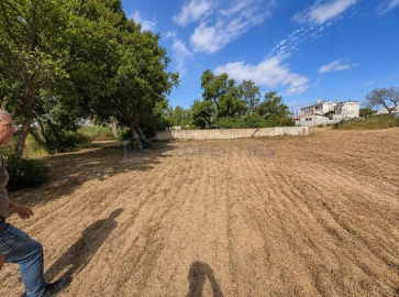 Terreno para Venda em Almancil