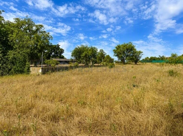 Terreno para Venda em Almancil