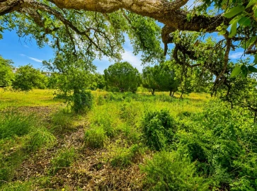 Terreno para Venda em Almancil