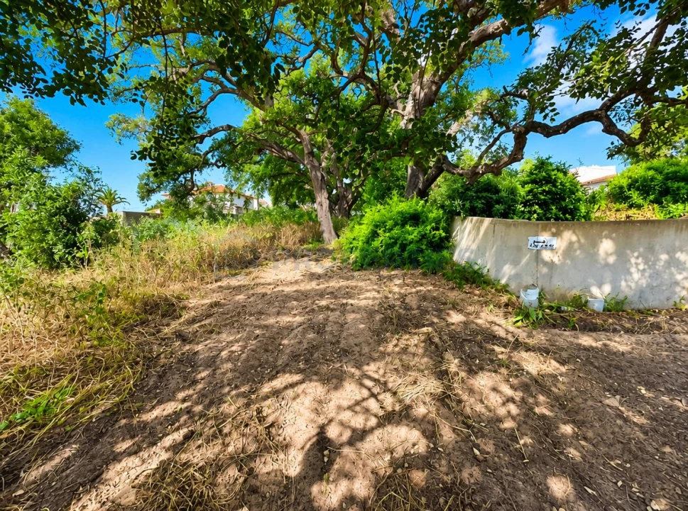 Terreno para Venda em Almancil Foto 18