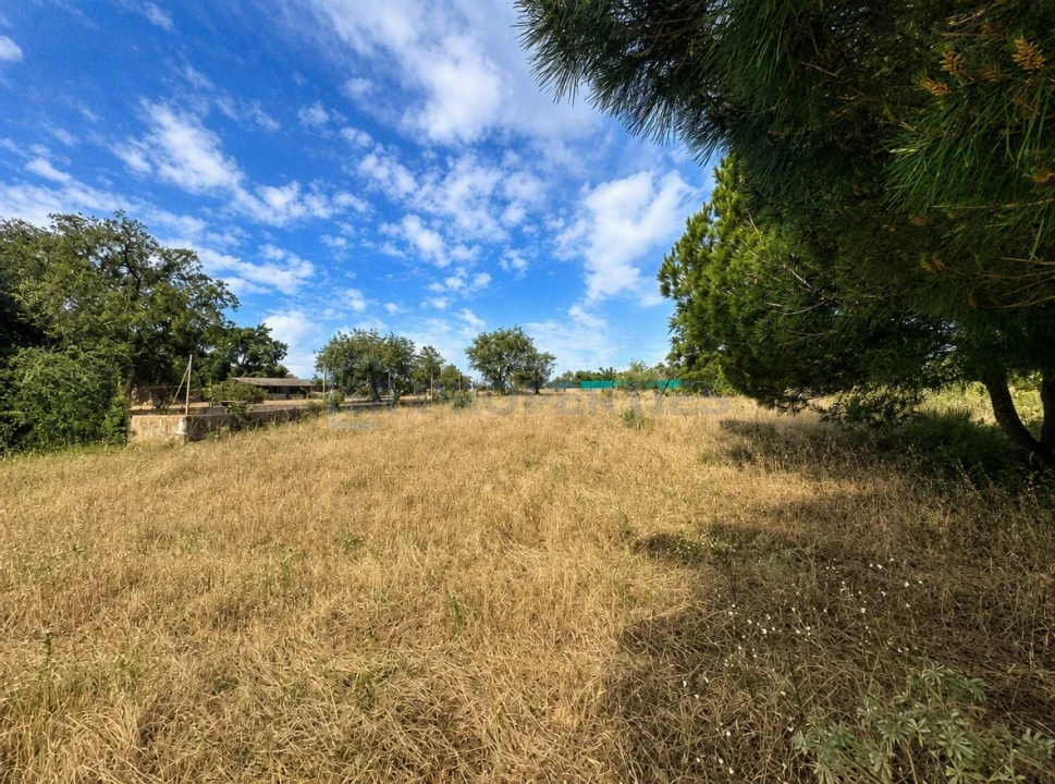 Terreno para Venda em Almancil Foto 14