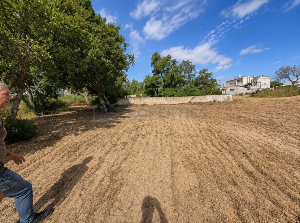 Terreno para Venda em Almancil Foto 19