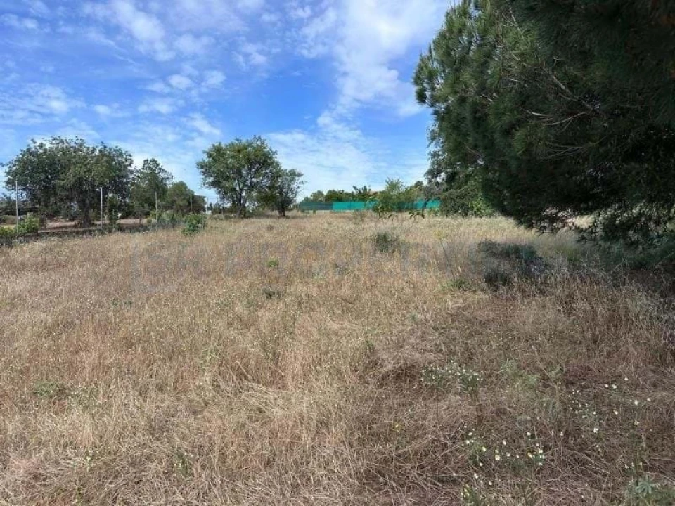 Terreno para Venda em Almancil Foto 13