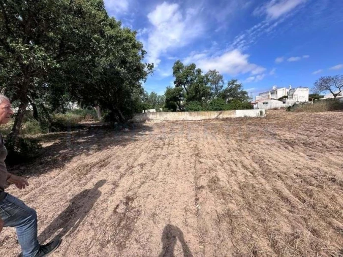 Terreno para Venda em Almancil Foto 9