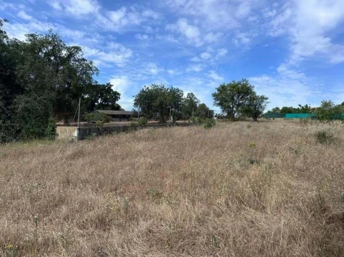 Terreno para Venda em Almancil