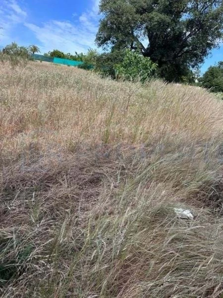 Terreno para Venda em Almancil Foto 12