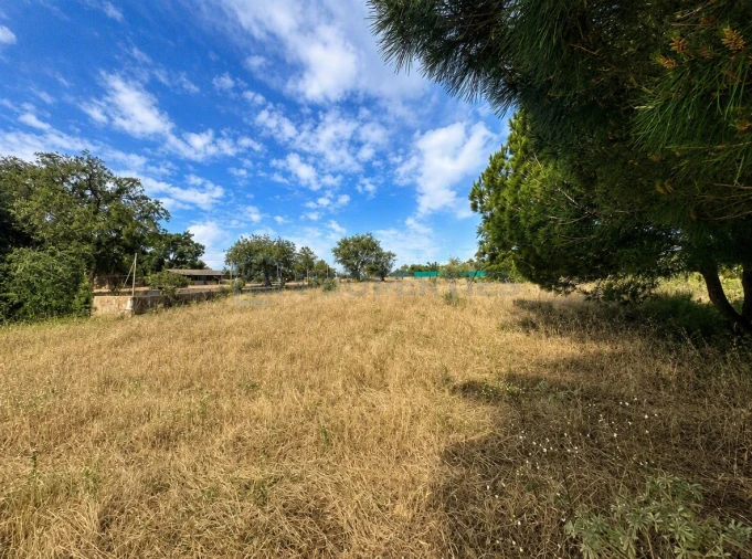 Terreno para Venda em Almancil Foto 14