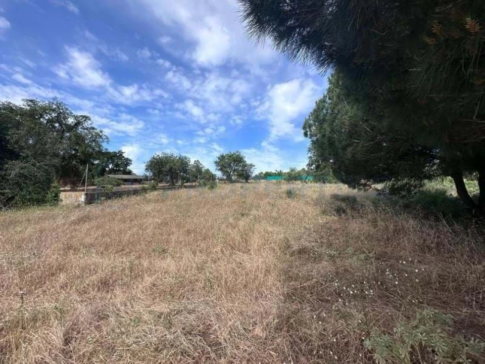 Terreno para Venda em Almancil Foto 14