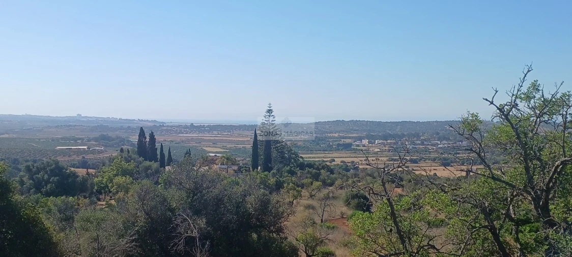 Terreno para Venda em Odiaxere Foto 4