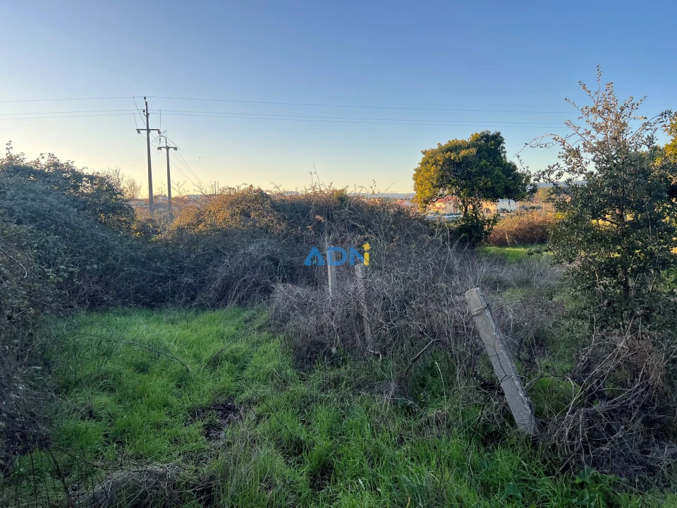 Quinta para Venda em Lardosa Foto 35