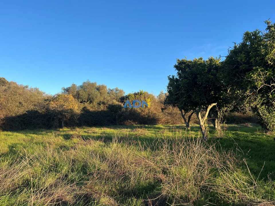 Quinta para Venda em Lardosa Foto 40