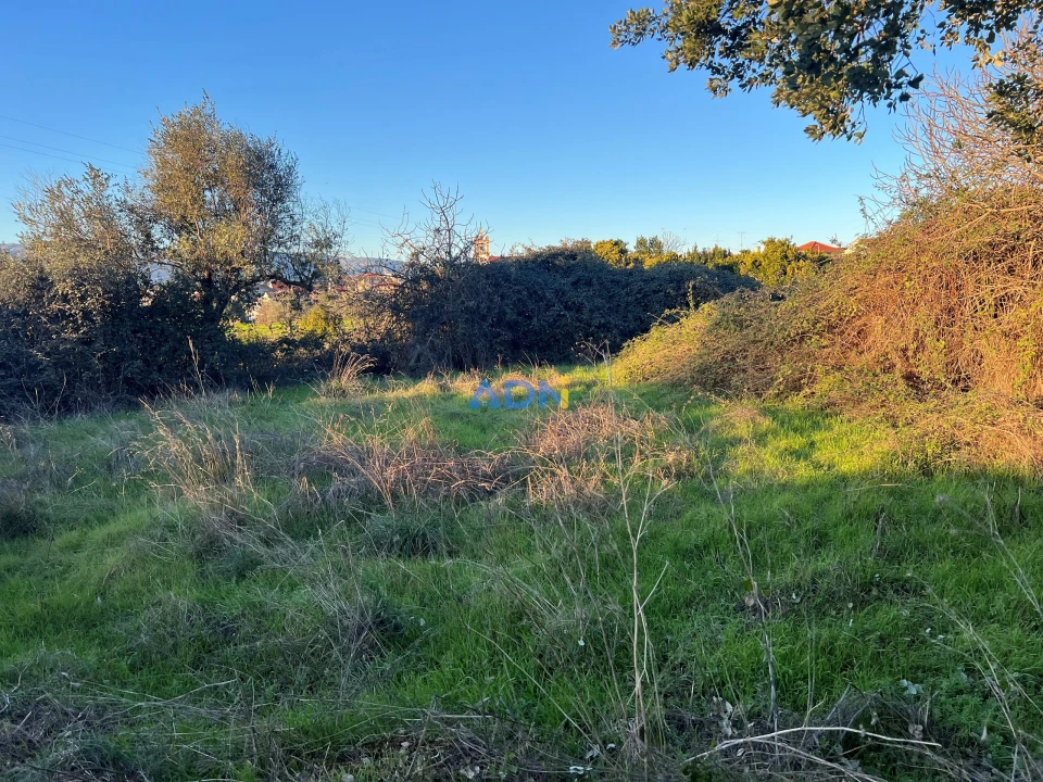 Quinta para Venda em Lardosa Foto 45