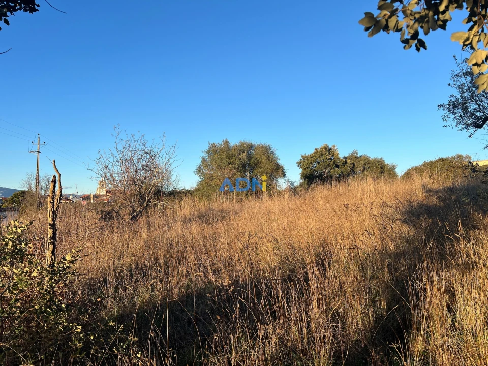 Quinta para Venda em Lardosa Foto 50