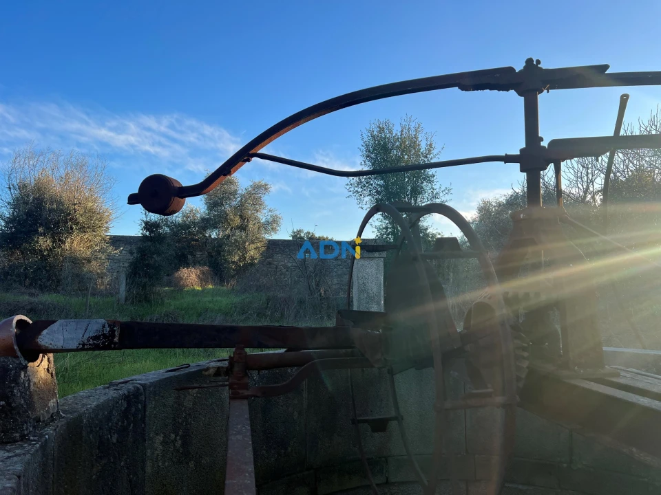 Quinta para Venda em Lardosa Foto 34