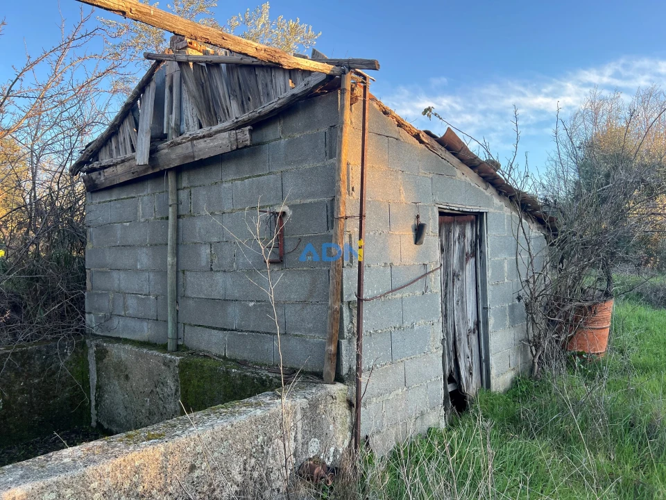 Quinta para Venda em Lardosa Foto 32