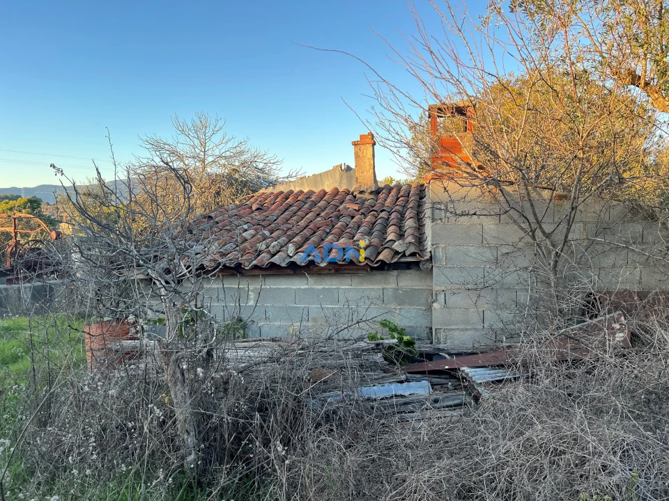 Quinta para Venda em Lardosa Foto 27