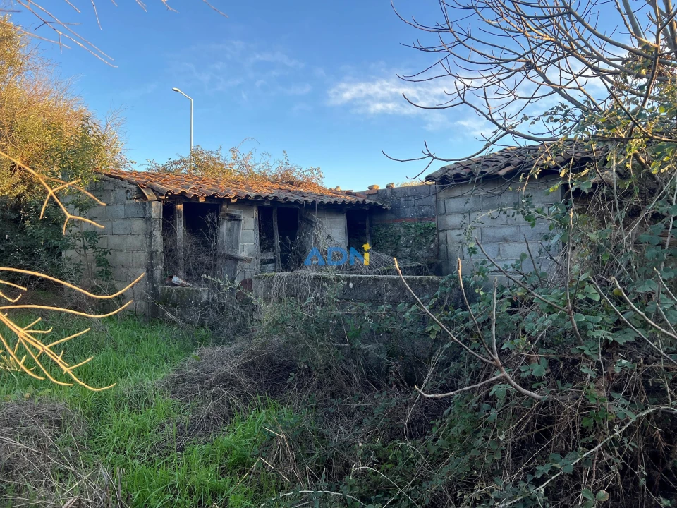 Quinta para Venda em Lardosa Foto 26