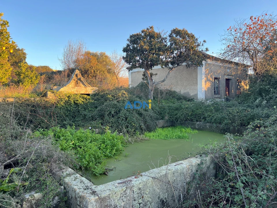 Quinta para Venda em Lardosa Foto 59