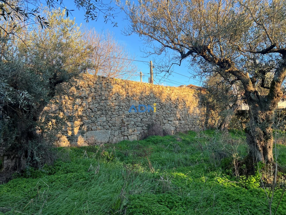 Quinta para Venda em Lardosa Foto 13