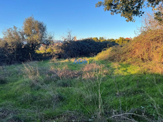 Quinta para Venda em Lardosa Foto 45