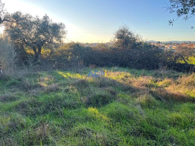 Quinta para Venda em Lardosa Foto 20