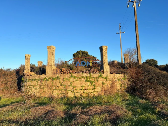 Quinta para Venda em Lardosa Foto 4