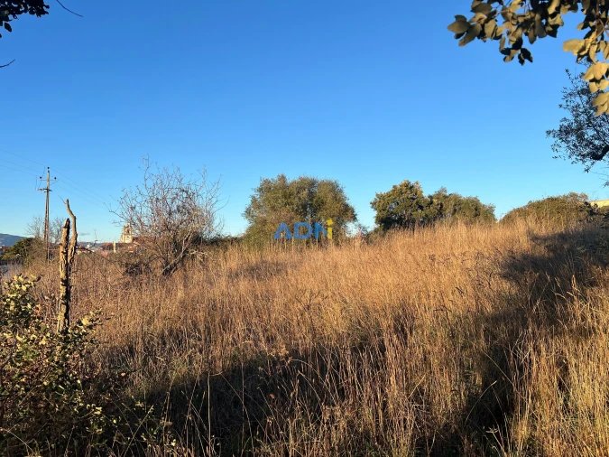 Quinta para Venda em Lardosa Foto 50