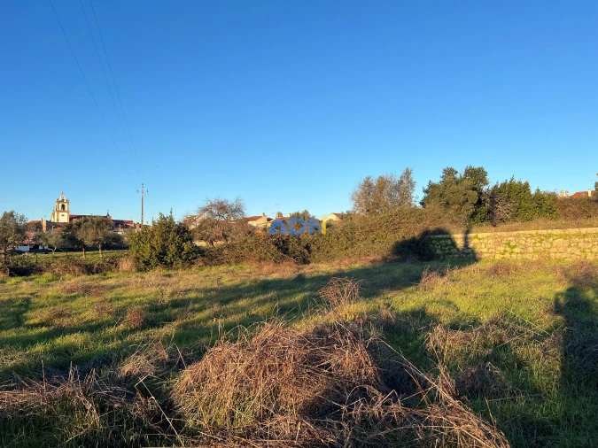 Quinta para Venda em Lardosa Foto 57