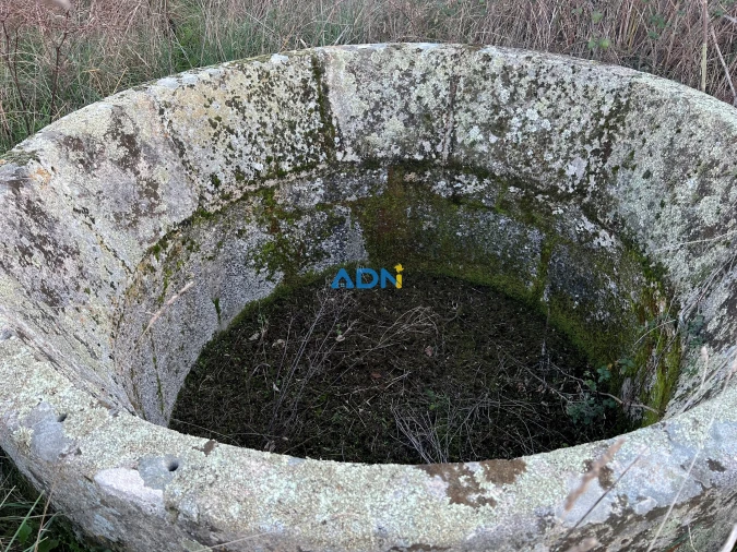 Quinta para Venda em Lardosa Foto 52