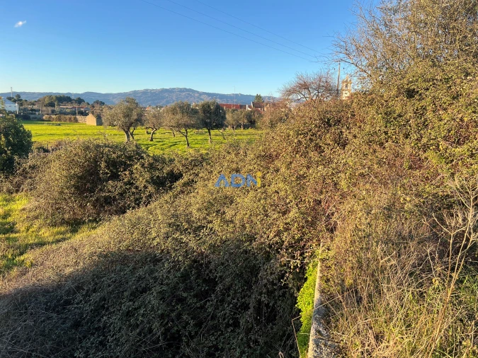 Quinta para Venda em Lardosa Foto 39