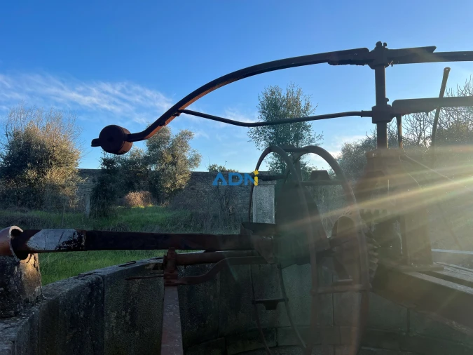 Quinta para Venda em Lardosa Foto 34