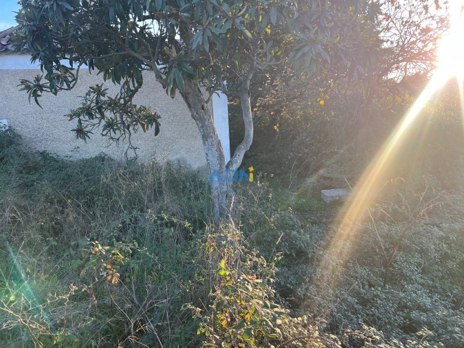 Quinta para Venda em Lardosa Foto 56