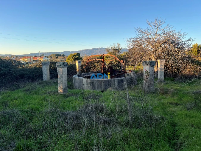 Quinta para Venda em Lardosa Foto 29