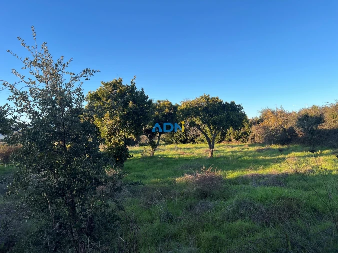 Quinta para Venda em Lardosa Foto 37