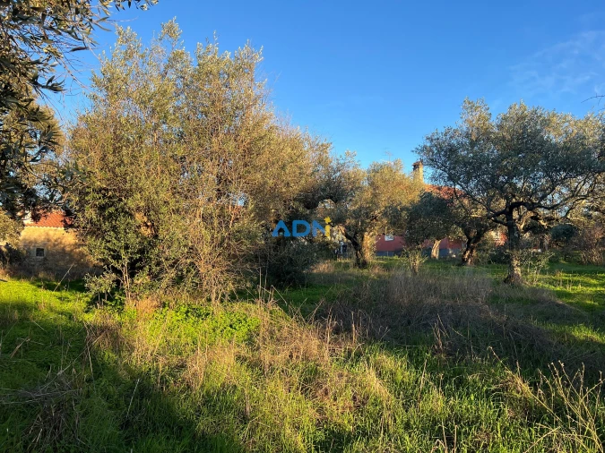 Quinta para Venda em Lardosa Foto 22